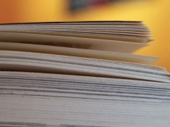 ���Ŀ���������ѵ��۸�/