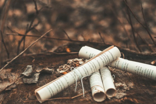 ���Ŀ���������ѵӪʱ��