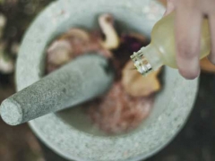 ���ִҵ��ҩʦ�ĸ���ѵ������/