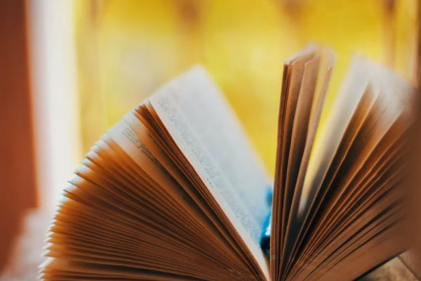 ���Ŀ������ڰ౨��