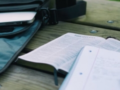 ���������п�����ѵ��/