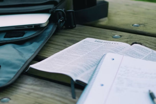 ���������п�����ѵ��