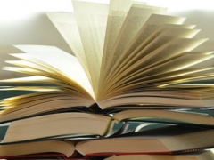 ��̶������ѵ��������/