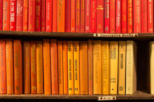 ����������ѵ��������Щ