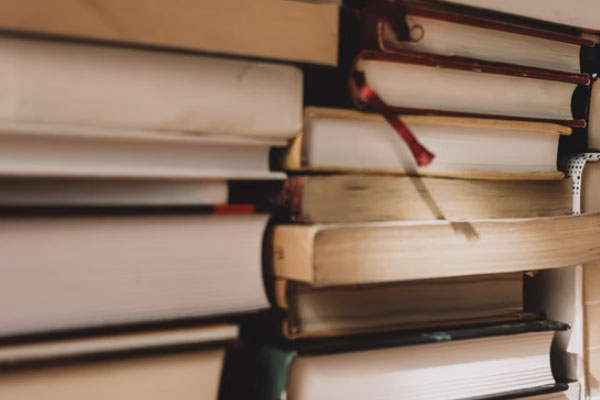 ����������ѵ��������ǰʮ