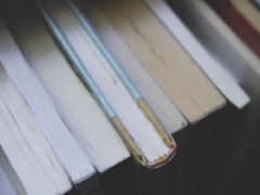 ����������ѵ�����ĸ���/