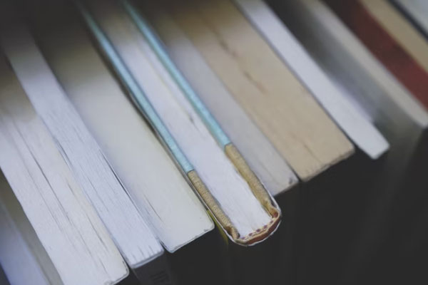 ����������ѵ�����ĸ���