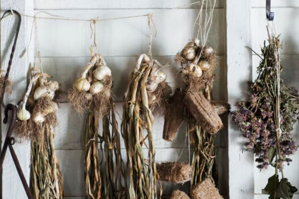 ����ִҵ��ҩʦ�ĸ���ѵ������