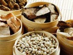 ����ִҵ��ҩʦ�ĸ���ѵ������/