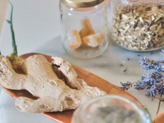 ƽ��ɽִҵ��ҩʦ�ĸ���ѵ������/