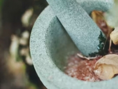 ����ִҵ��ҩʦ�ĸ���ѵ������/