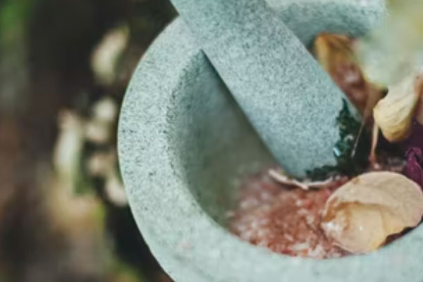 ����ִҵ��ҩʦ�ĸ���ѵ������