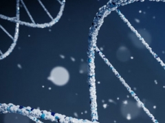 ����ִҵ��ҩʦ�ĸ���ѵ������/