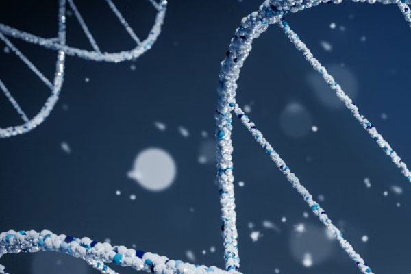 ����ִҵ��ҩʦ�ĸ���ѵ������