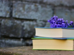 ����������ѵѧУ���շѶ���Ǯ/