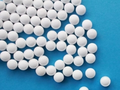 ����ִҵ��ҩʦ�ĸ���ѵ������/