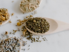 ¤��ִҵ��ҩʦ�ĸ���ѵ������/