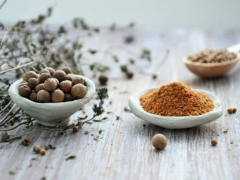 ����ִҵ��ҩʦ�ĸ���ѵ������/