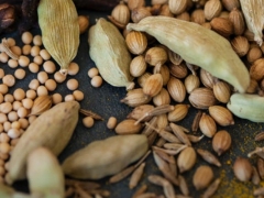 �ຣִҵ��ҩʦ�ĸ���ѵ������/