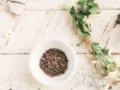 ��³ľ��ִҵ��ҩʦ�ĸ���ѵ������/