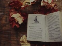 �˲�������ѵ����ô��/