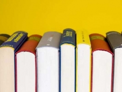 ��˳������ѵ���ļҺ�/