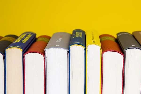 ��˳������ѵ���ļҺ�