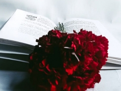 ���⿼����ѵ�����ļҺ�/