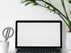 ����ui�Ӿ������ѵ/