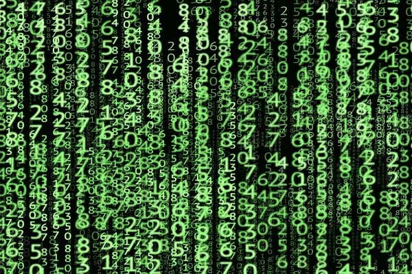 �����Ӿ������ѵ��������