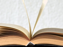 ����ɽ������ѵ�����ļ�ǿ/