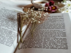 ����������ѵ��������/