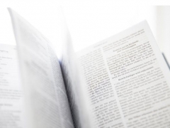 ���ݿ�����ѵ���ĸ���/