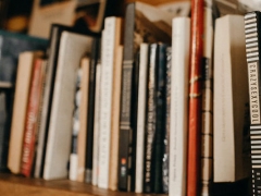 ���п�����ѵ��������/