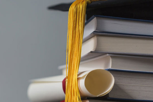 ����������ѵ�����ļҺ�