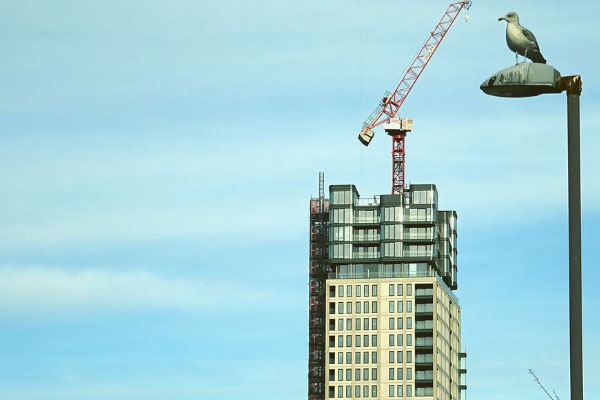 ���������Ŵ�Ա�����������Ա���ʱ��