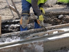 ʮ��һ������ʦ��ѵ��������_����/