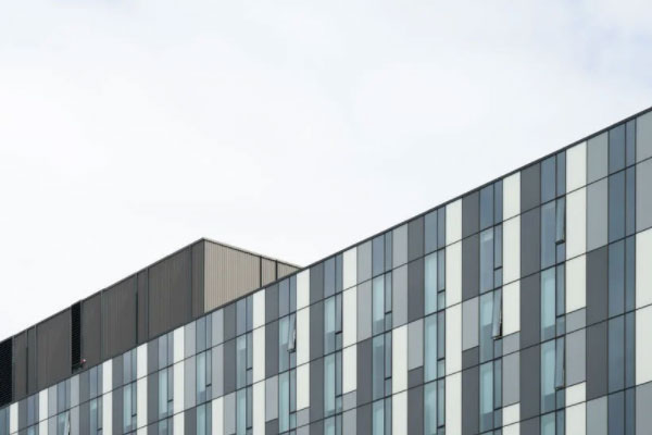 �������ʵ����ѵ��������