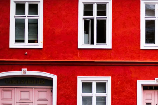 �������ʵ����ѵ��������