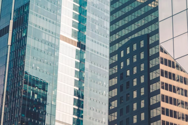 �������ʵ����ѵ��������