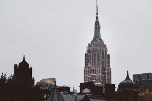 �������ʵ����ѵ��������