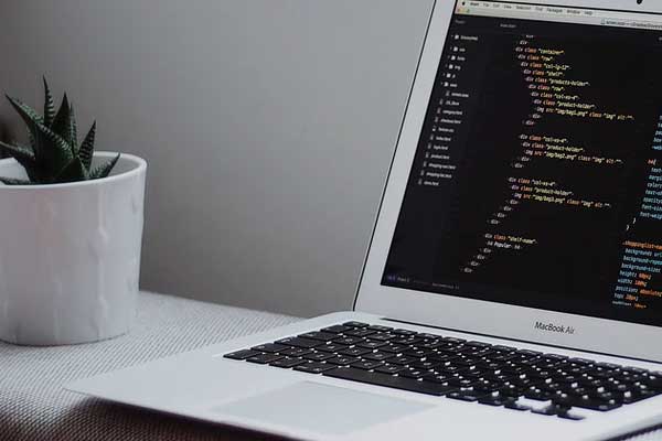 �������ʵ����ѵ��������