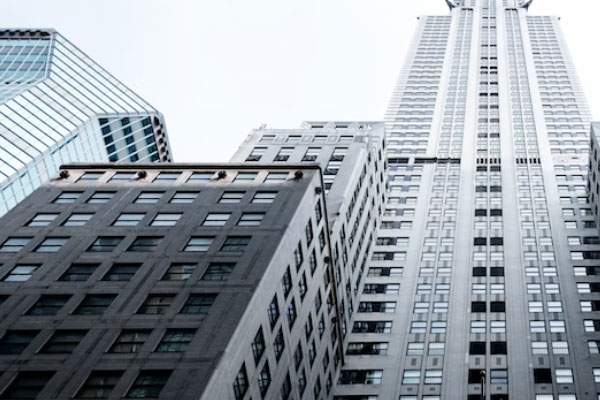 �������ʵ����ѵ��������