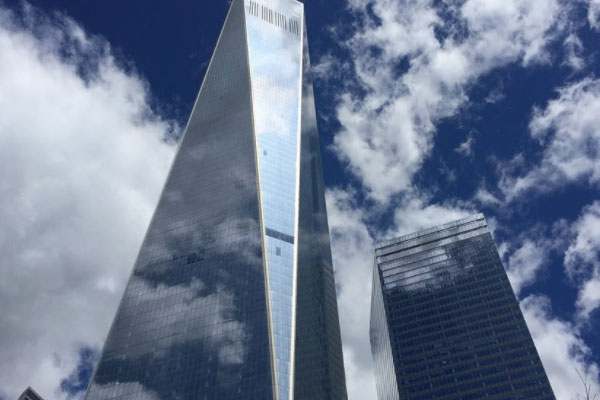 �������ʵ����ѵ��������