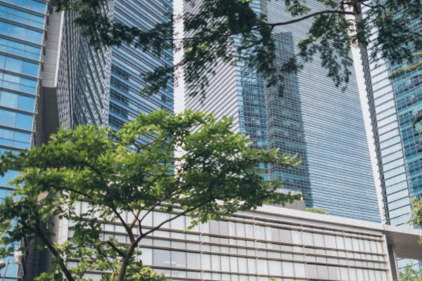 �������ʵ����ѵ��������