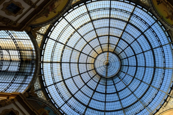 �������ʵ����ѵ��������