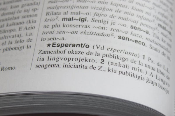 ����������ѵ���ļҺ�