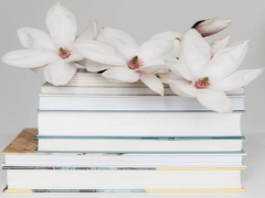 ʯ��ׯ������ѧ��ѵ��������/