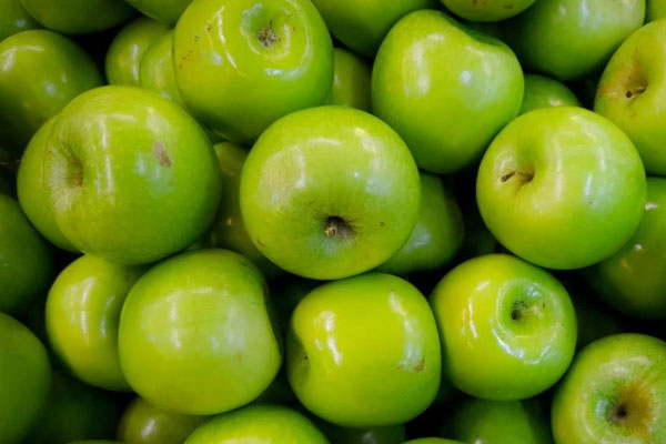 ����ʳƷ��ȫ����Ա��ѵ��γ�����_����Ǯ