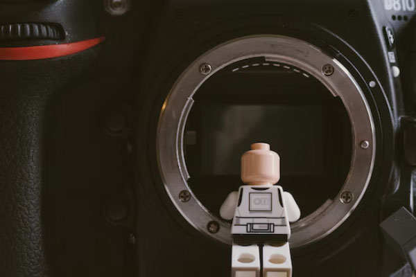 �ػʵ���������ͯ���������ѵѧУ�շѶ���